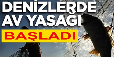 DENİZLERDE BALIK AV YASAĞI BAŞLADI