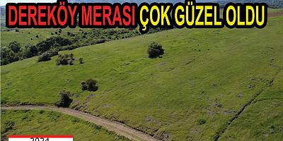 DEREKÖY MERASI ÇOK GÜZEL OLDU