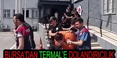 DEVREMÜLK DOLANDIRICILIĞI YALOVA'YA SIÇRADI