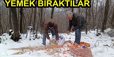 DOĞA HAYVANLARINA YEM BIRAKTILAR
