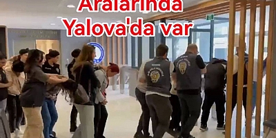 DOLANDIRICILIK OPERASYONU YALOVA'YI DA VURDU