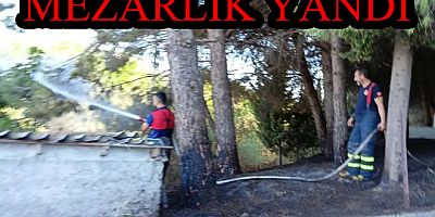 #yalova #kaza #itfaiye #yangın #jandarma #elmalık #köy