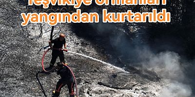 ERİKLİ ŞELALESİNDEKİ YANGIN SÖNDÜRÜLDÜ