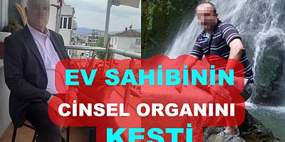 EV SAHİBİNİN CİNSEL ORGANINI KESTI