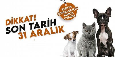 EVCİL HAYVANLARI OLANLARIN SÜRESİ DOLUYOR