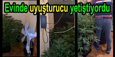 EVİNDE UYUŞTURUCU SERASI KURDU TUTUKLANDI