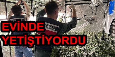 EVİNDE UYUŞTURUCU YETİŞTİRDİ YAKALANDI