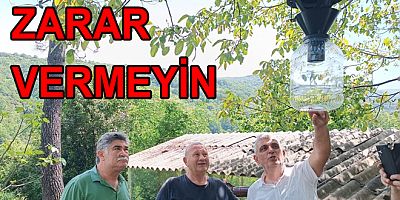 FEROMON TUZAKLARA ZARAR VERMEYİN