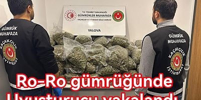 FRANSA DA UYUŞTURUCU GETİRDİ YALOVA’DA YAKALANDI
