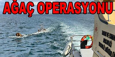 GEMİLERE TEHLİKE OLUŞTURAN AGAÇ KIYIYA ÇEKİLDİ