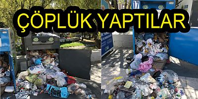 GERİ DÖNÜŞÜM KUTULARINI ÇÖPLÜK YAPTILAR
