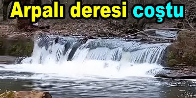 GÖKÇE BARAJI’NI BESLEYEN ARPALI DERESİ COŞTU