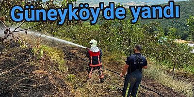 GÜNEYKÖY'DE MEYVE BAHÇESİ ALEVLERE TESLİM OLDU