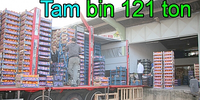 HAL’DEN 22 BİN 553 TON ÇIKIŞ YAPILDI