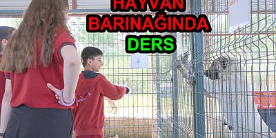 HAYVAN BARINAĞINDA DERS YAPILDI