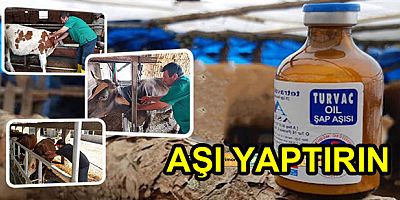 HAYVANLARA ŞAP AŞISI YAPILACAK