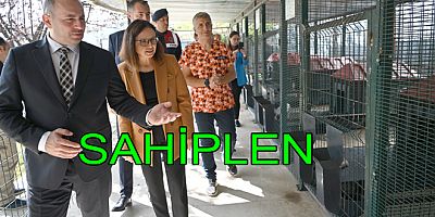 HAYVANLARI SATIN ALMAYIN SAHİPLENİN