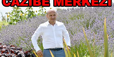 HERSEK LAGÜNÜ CAZİBE MERKEZİ OLDU