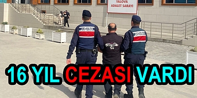 HIRSIZLIKTAN CEZA ALDI JANDARMA YAKALADI