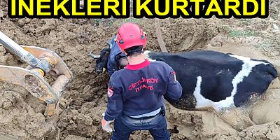 İNEKLERİ ÇİFTLİKKÖY İTFAİYESİ KURTARDI
