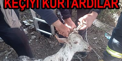 İTFAİYEDEN KEÇİ KURTARMA OPERASYONU