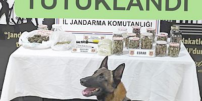 #yalova #polis #operasyon #jandarma #asayiș #kom #tem #Narkotik