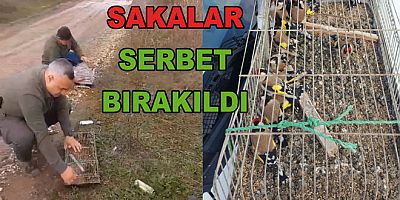 KAÇAK AVLANAN 19 SAKA KUŞU DOĞAYA SALINDI