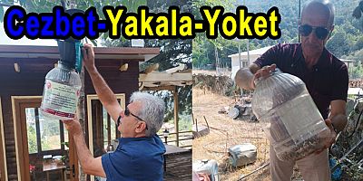 KAHVERENCİ KOKARCA İÇİN SAMURAY ARISI DEVREDE