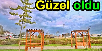 KAMELYALAR YALOVA’YA YAKIŞTI