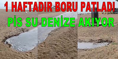 KANALİZASYON ATIK SUYU TİGEM PLAJI'NA AKIYOR