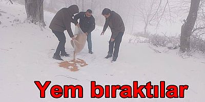 KAR YAĞDI YABAN HAYVANLARINA YEM BIRAKILDI