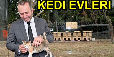 KEDİ EVLERİ YALOVA DA ÇOK SEVİLDİ