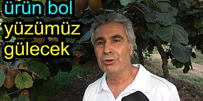 KİVİ ÜRETİCİYE KAZANDIRACAK