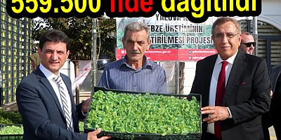 KIVIRCIK MARUL FİDESİ DAĞITILDI