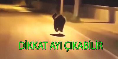KOCADERE KÖYÜ’NDE AYI GÖRÜLDÜ