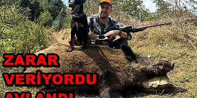 KÖYLÜLERİ KORKUTAN DOMUZ SÜRÜSÜ AVLANILDI
