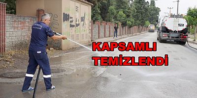 MAHALLE KAPSAMLI TEMİZLENDİ