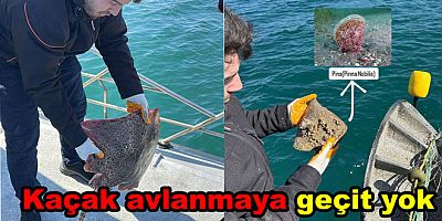 MARMARA DENİSİNDE KAÇAK AVCILIĞA GEÇİT YOK!