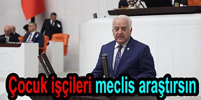 MECLİS ÇOCUK İŞÇİLERE KARŞI ARAŞTIRMA YAPMALI