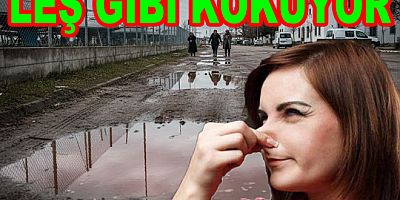 MEHMET GÜREL’E ÇAMUR VE KOKU İSYANI