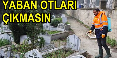 MEZARLIKTAKİ YABANİ OTLAR TEMİZLENİYOR