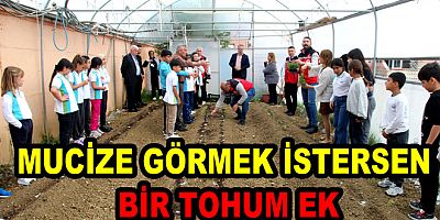 MUCİZE GÖRMEK İSTERSEN BİR TOHUM EK