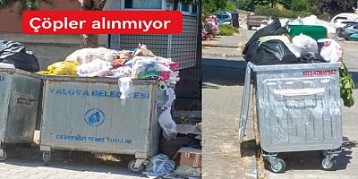 MUHTAR İSYAN ETTİ ÇÖPLER ALINMIYOR VATANDAŞ MAĞDUR