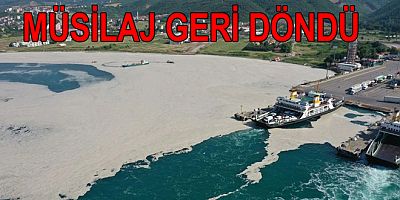 MÜSİLAJ YALOVA'DA YENİDEN HORTLADI
