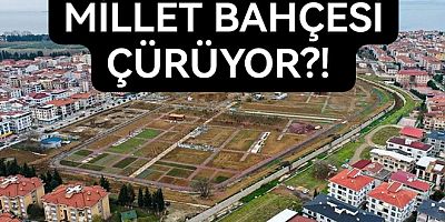 NE OLACAK BU MİLLET BAHÇESİNİN HALİ