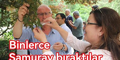 ON BİN SAMURAY SAVAŞÇI KOKARCALARI YOK EDECEK Mİ?