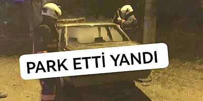 PARK ETTİĞİ ARAÇ YANDI