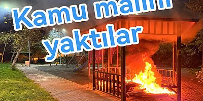 PARKTAKI KAMELYAYI ATEŞE VERDİLER