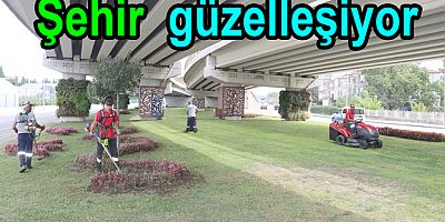 PEYZAJ VE BAKIM ÇALIŞMALARINA DEVAM