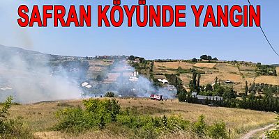 SAFRAN KÖYÜNDE ARAZİ YANGINI